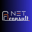NetConsult FZCO