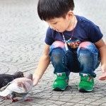 boy and pigeon